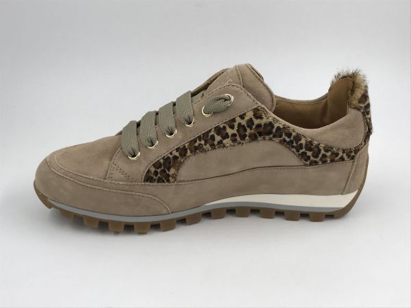 Candice Cooper dam sneak suède beige-bru (001 2017953 11 2E35 suède beige-brown) - Stiletto Schoenen (Oudenaarde)