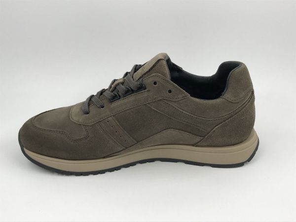 CDL her run nub taupe (CDLM262144 nub walnut Jog V2) - Stiletto Schoenen (Oudenaarde)