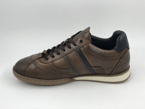 CDL her sneak led bruin (CDLM262138 led dark cognac New crush born) - Stiletto Schoenen (Oudenaarde)