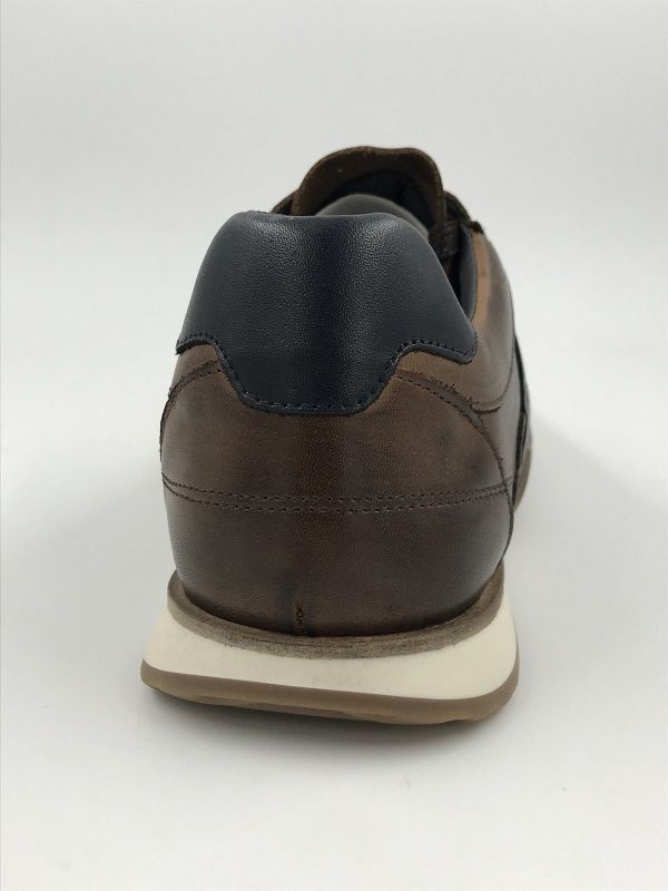 CDL her sneak led bruin (CDLM262138 led dark cognac New crush born) - Stiletto Schoenen (Oudenaarde)