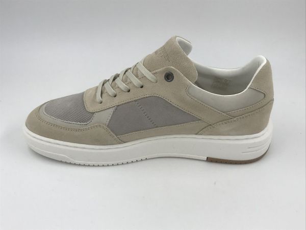 CDL her sneaker suède/led beige (CDLM261151 pumice stone/lunar) - Stiletto Schoenen (Oudenaarde)