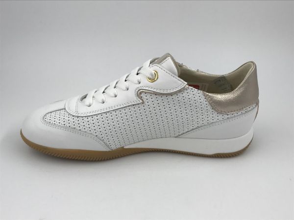 DLS dam sneaker led wit (6256 V08 vitello bianco) - Stiletto Schoenen (Oudenaarde)