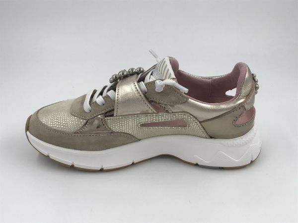 Floris dam run led/nub goud (SFW-10155-91-01/daysi 08.03 gold G) - Stiletto Schoenen (Oudenaarde)