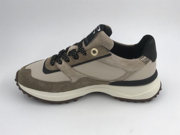 Floris dam runner led taupe (SFW-10128-34-02 noppi 36.16taupe G) - Stiletto Schoenen (Oudenaarde)