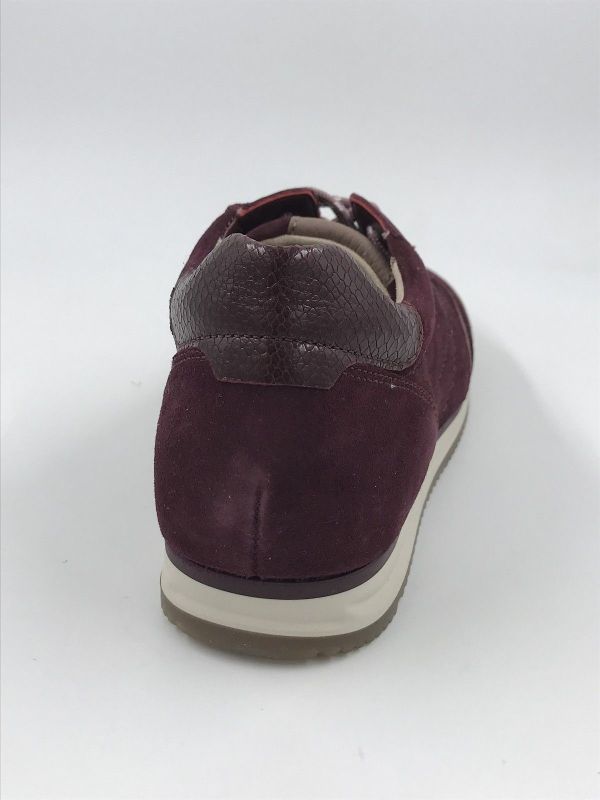 Gab dam sneaker led bordeaux (6025.02.002 samtch/cobra/cervo mulberry/dark rose) - Stiletto Schoenen (Oudenaarde)