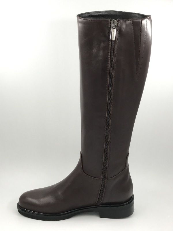 Pisati dam LLaars led bruin (Barbara vitello moro) - Stiletto Schoenen (Oudenaarde)