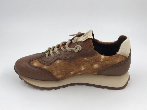 Hispanitas dam run led/bambi cognac (HI265106 bolero cuero bamby cuero) - Stiletto Schoenen (Oudenaarde)