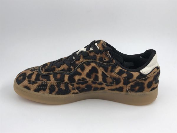 Hoff dam sneaker multi leopard (Ally leopard) - Stiletto Schoenen (Oudenaarde)